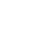Корова біла